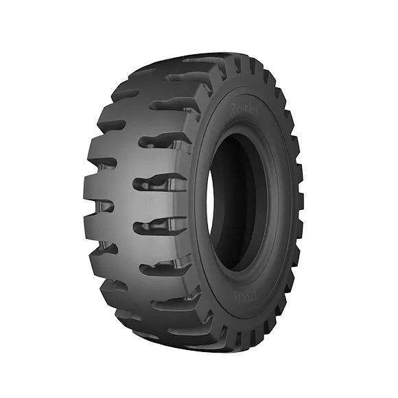 [100324] 29.5R25 TECHKING ETDL5S 216A2 L5 ★★ TL